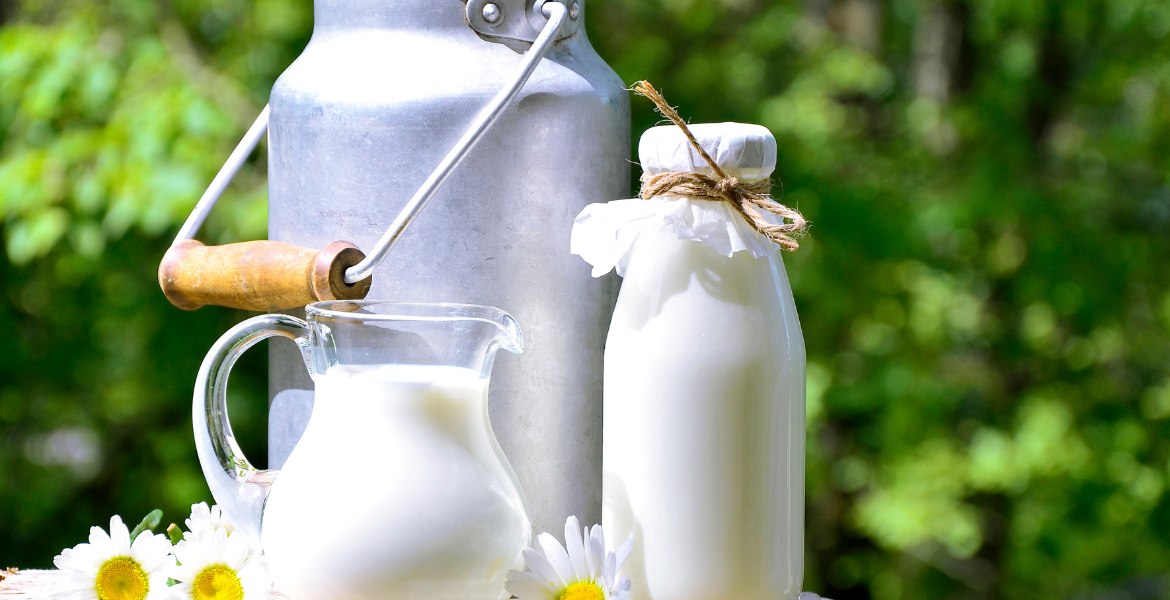 Süt İşleme Eğitimi   [50 AP / 30 CP / 100 PP]